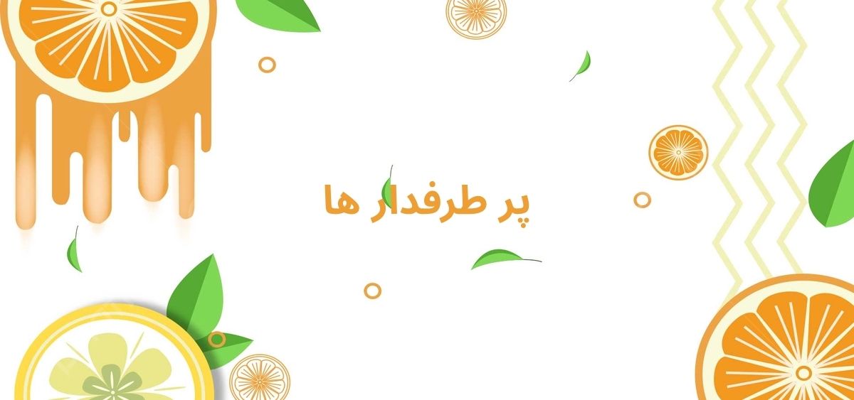 side banner